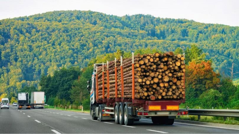 A log-loaded truck drives on a highway with nearby vehicles and a forested hill in the background.