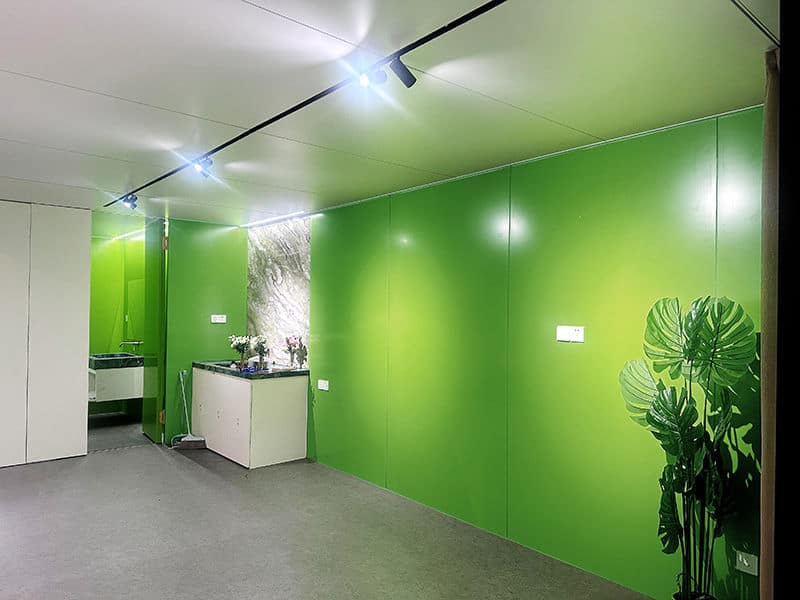 Room with bright green walls, gray floor, small counter and plants, ceiling spotlights, and tall potted plant in the corner.