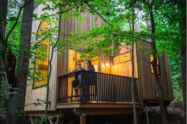Modern wooden treehouse retreat nestled in lush green forest with large windows and outdoor balcony, perfect for outdoor living and eco-friendly vacation experiences.