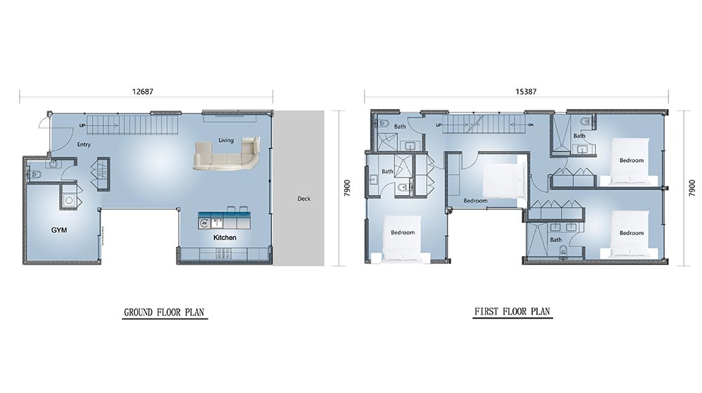 Detailed architectural floor plan of a modern home with ground and first floors, including living areas, bedrooms, kitchen, gym, and deck.